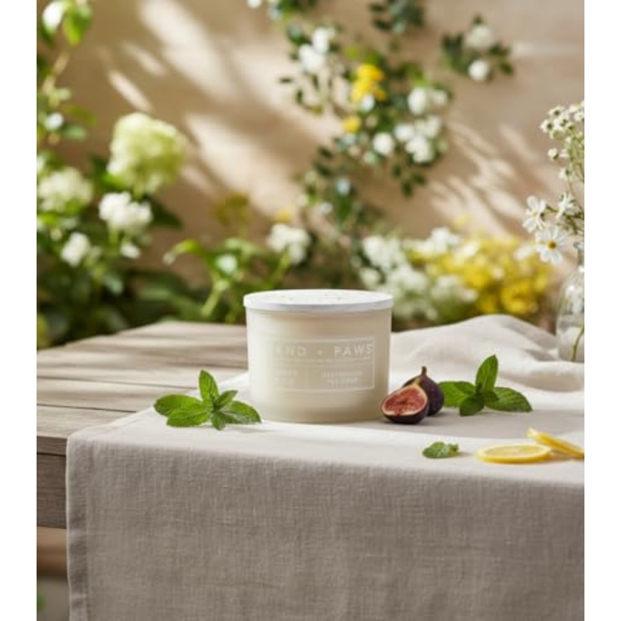 Home fragrance candles for pet - Home Fragrance Fig recensie en prijs